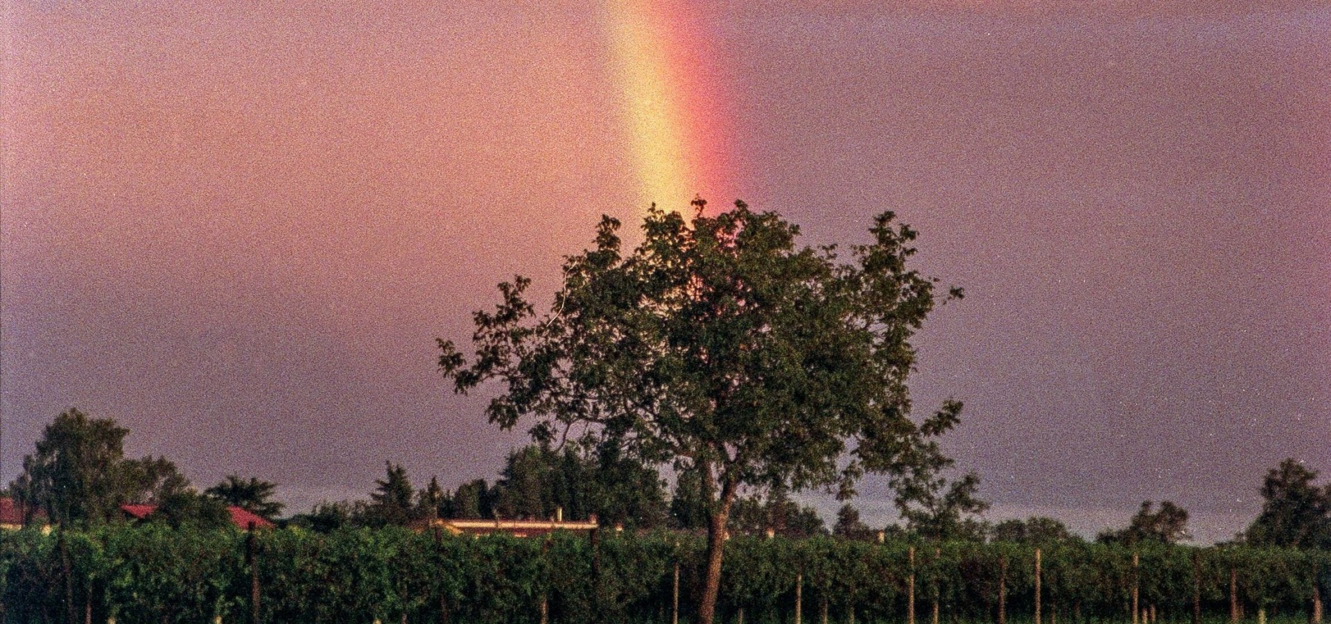  Values too central to abandon